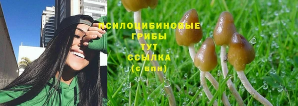 а пвп мука Саяногорск