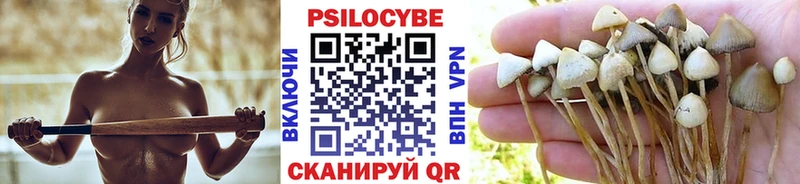 Галлюциногенные грибы Psilocybine cubensis  как найти   Сольвычегодск 